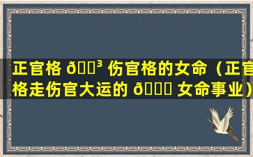 正官格 🌳 伤官格的女命（正官格走伤官大运的 🐕 女命事业）